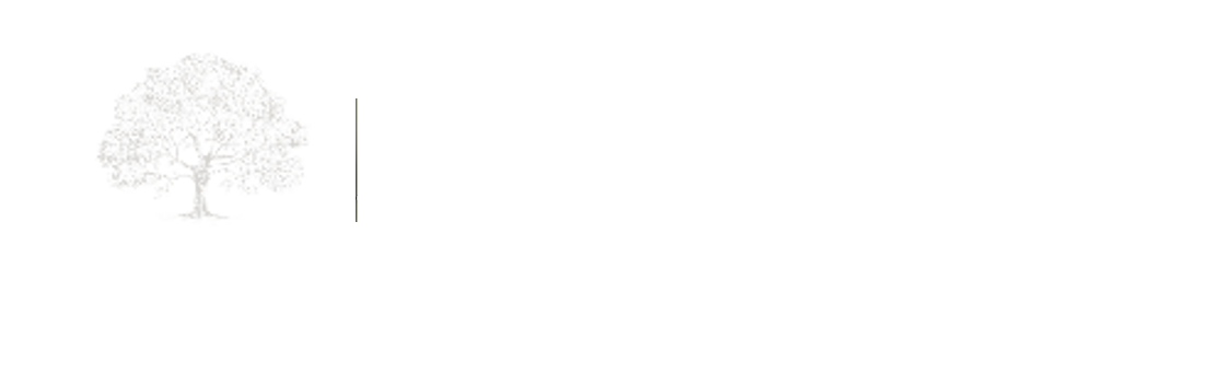 Ashford Motors